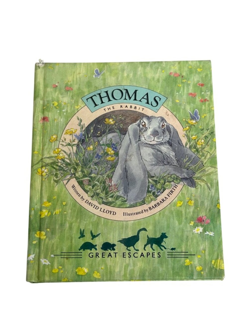 Thomas The Rabbit Hardcover Book by David Lloyd